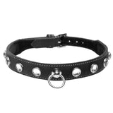 Leather Rhinestone Collar