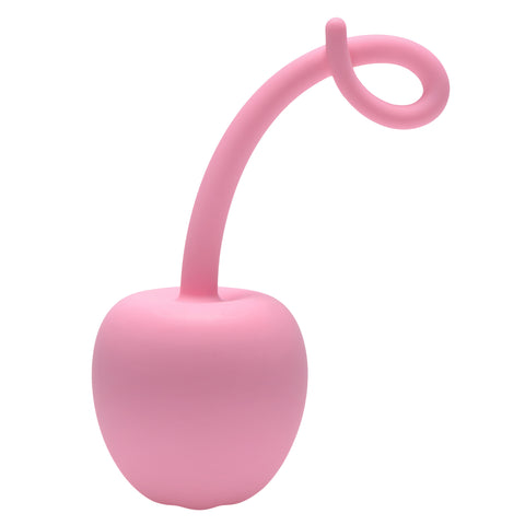 Pig Tail Silicone Anal Plug