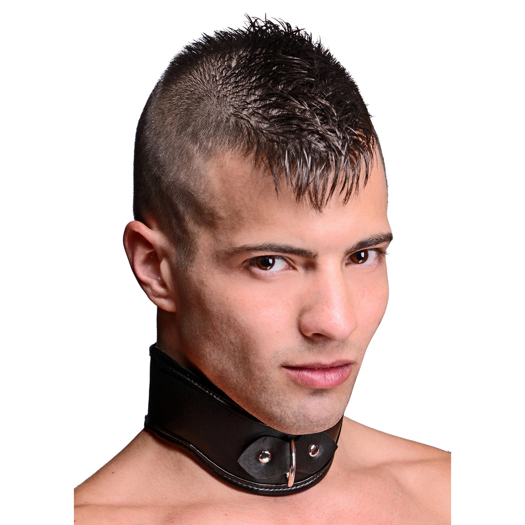 Locking Posture Collar